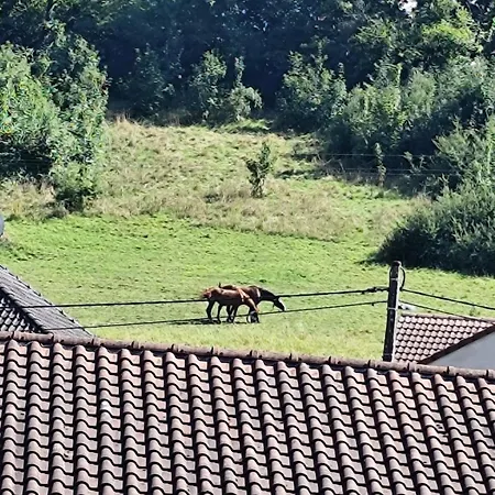 Atypique Chaleureux *