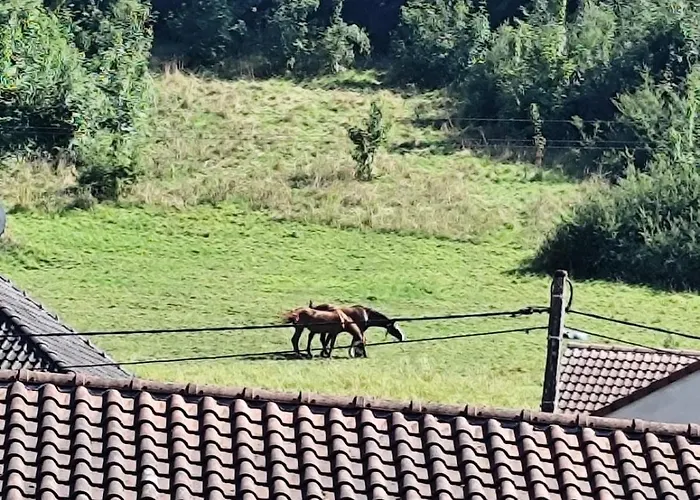 Atypique Chaleureux *